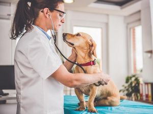 Supporting image for story: People are talking about the funniest things they’ve ever forgotten