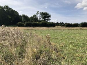 Supporting image for story: Government plans falling short of net zero farming pledges, report finds