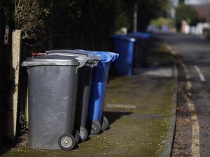 Supporting image for story: Powys County Council considers plans to collect rubbish every three weeks