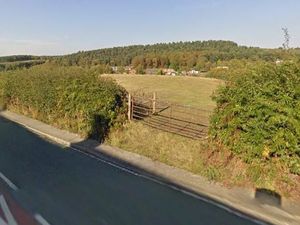 Supporting image for story: Housing plan for pony paddock at Cannock beauty spot passed despite hundreds of objections