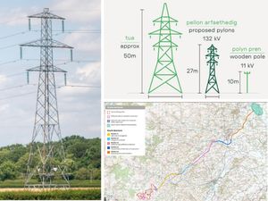 Supporting image for story: Public meeting over 31-mile steel pylon route planned to stretch from Mid Wales into Shropshire 