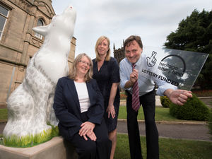 Supporting image for story: Wolves in Wolves sculptures hit city centre for Armed Forces Day