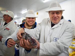 Supporting image for story