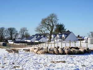 Supporting image for story: Mercury falls to minus 18C in Scottish hamlet as cold spell continues