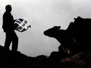 Supporting image for story: Let’s start at the top if we want to tackle pollution  