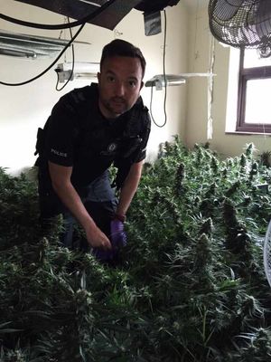 Sgt Dave Rogers with some of the plants
