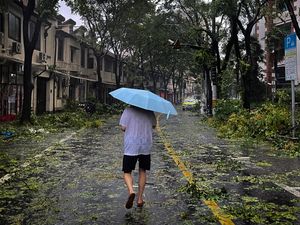 Supporting image for story: Typhoon knocks out power to some homes in Shanghai