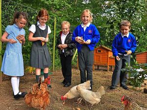 Supporting image for story: Outdoor world opened up at Hodnet Primary School