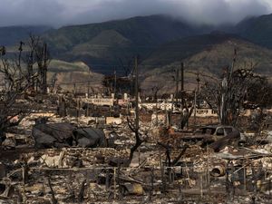 Supporting image for story: Maui judge bars insurers from going after fire victims after settlement reached