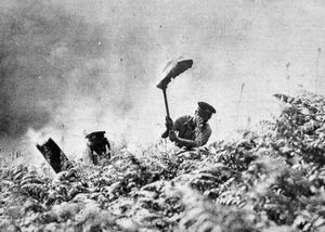 Firemen battling with the flames on Haughmond Hill, near Shrewsbury, in July, 1976