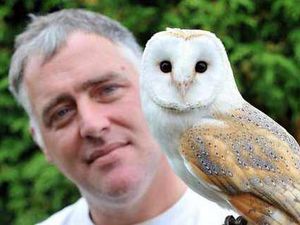 Supporting image for story: Stafford bird man's life with owls is a hoot