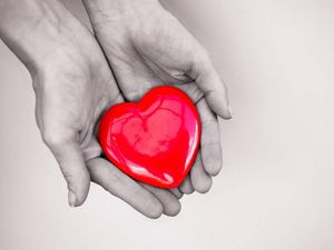 Supporting image for story: World Kindness Day: 6 reasons why being kind to others is actually good for you