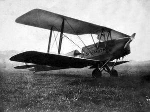 Supporting image for story: Moth mystery to test aviation experts