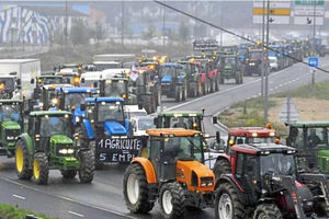 Supporting image for story: Special report: Is it time for Shropshire farmers to get tough in milk price row?