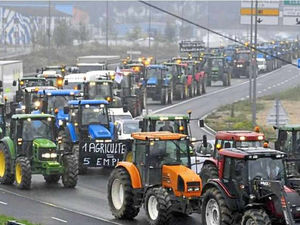 Supporting image for story: Special report: Is it time for Shropshire farmers to get tough in milk price row?