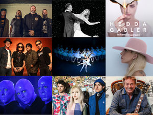 Supporting image for story: Top 15 shows during January in the Midlands and Shropshire