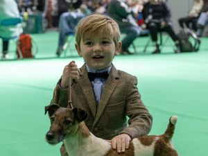 Supporting image for story: Six-year-old Staffordshire boy makes history as one of Crufts’ youngest ever winners