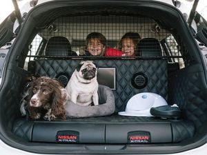 Supporting image for story: Nissan unveils X-Trail 4Dogs concept