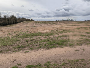 Supporting image for story: Brownfield pledge as speculation continues over plans for hundreds of homes on green belt site in Dudley