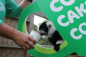 The Hoo Farm 'coffee morning'