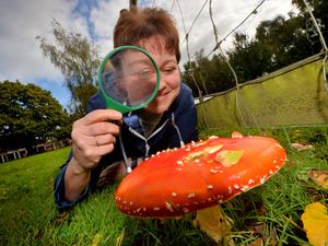 Supporting image for story: So much fun-gi to be had at charity's event