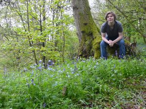 Supporting image for story: Bluebell Wood in Stourbridge to open this bank holiday weekend