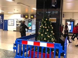 Supporting image for story: Is this Christmas tree being protected from us or are we being protected from this Christmas tree?