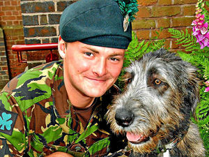 Supporting image for story: Tributes pour in for well-loved Royal Irish mascot Finn