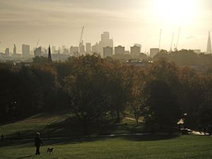 Supporting image for story: National Trust, RSPB and WWF urge employees to speak up for nature at work