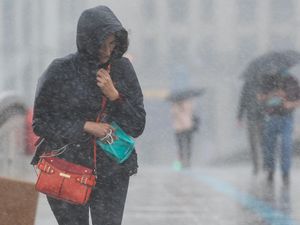 Supporting image for story