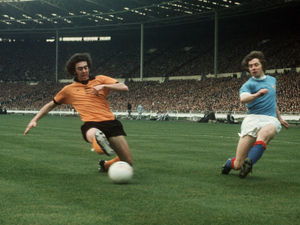 Supporting image for story: From fan to a Molineux great, Geoff Palmer played in every division for Wolves