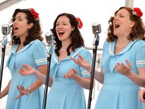 Supporting image for story: Vintage festival returning to county museum