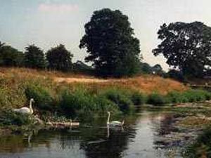 Supporting image for story: Spotlight on Market Drayton