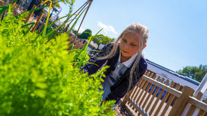 Green fingered pupils from all year groups worked to achieve a Green Flag with Distinction award as well as a RHS level 5 award.