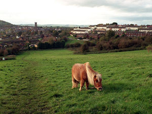 Supporting image for story: Take along a 'sense of fun' to Ludlow jubilee picnic