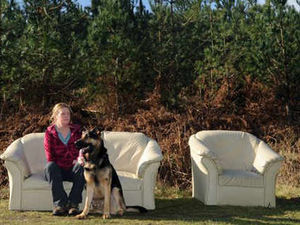 Supporting image for story: Dog walkers angry as fly-tippers dump settee