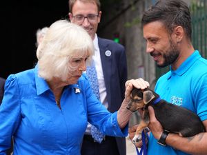 Supporting image for story: Camilla smitten with Battersea puppy as she opens dog-friendly garden