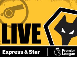 Supporting image for story: Crystal Palace 0 Wolves 1 - As it happened