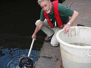 Supporting image for story: Rescued fish are ones that get away