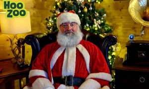 Santa and his Makaton speaking elf will be appearing at special SEN friendly sessions at Hoo Zoo.