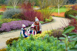 The Winter Walk at RHS Garden Harlow Carr