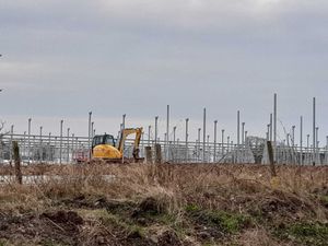 Supporting image for story: Farmer allowed to keep polyhouses installed despite objections