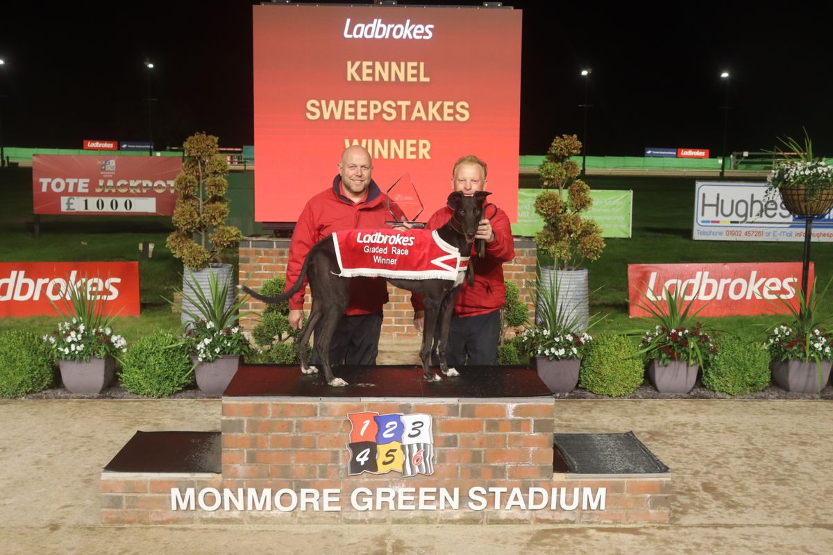 A run to remember saw Vampire Bob at Monmore