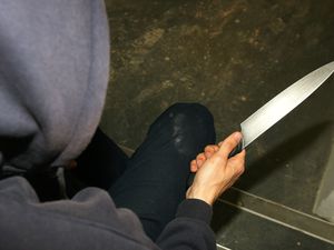 Supporting image for story: Shropshire Star comment: Lives more important than rights
