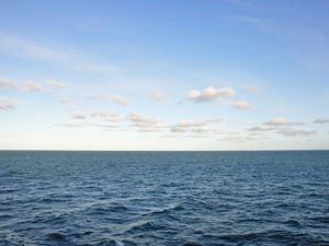 Supporting image for story: Cutting global emissions ‘only way’ to safeguard seafood, scientists warn