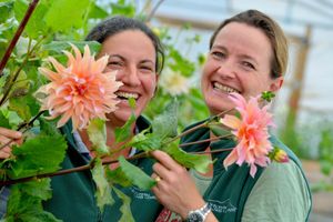 The friends grow flowers such as lilies and dailahs in their hot house