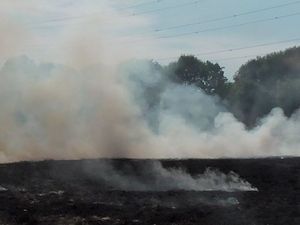 Supporting image for story: Sandwell nature reserve review after 'terrifying' grass fire threatened cattery 