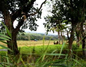 A winning picture from Peter Bott