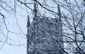 Picture by Roland Buckingham-Hsiao