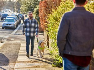 Supporting image for story: Telford man and his life-changing guide dog, Ringo, star in TV advert